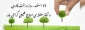 15 اسفند روز درختکاری گرامی باد