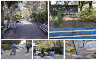 ارائه خدمات هرس و تنظیف فضای سبز در دانشکده ملی مهارت دختران کاشان