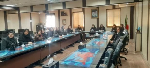 نشست تخصصی ریاست آموزشکده ملی مهارت دختران کاشان با دبیر اجرایی جشنواره ملی فردخت 3