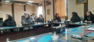 نشست تخصصی ریاست آموزشکده ملی مهارت دختران کاشان با دبیر اجرایی جشنواره ملی فردخت 5