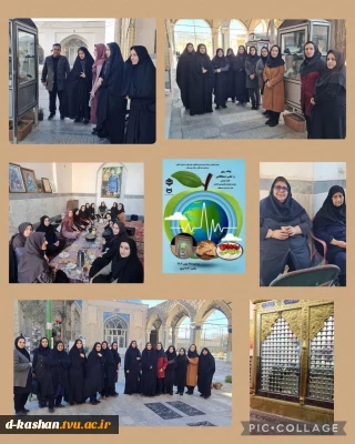 پیاده روی جمعی از کارکنان دانشکده ملی مهارت دختران کاشان