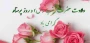 فرارسیدن میلاد حضرت زینب کبری(س) و روز پرستار گرامی باد